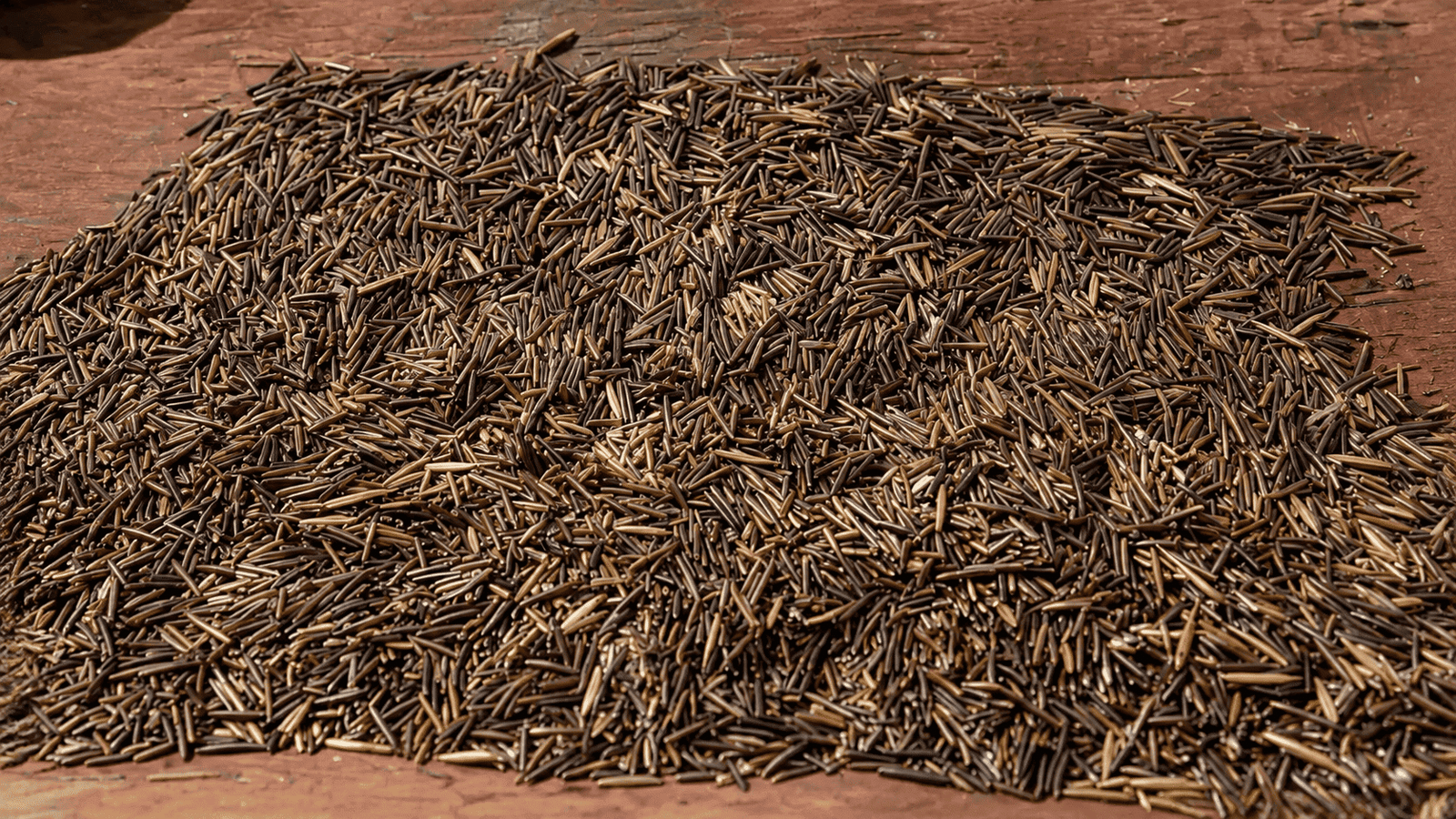Large pot of cooked Organic Brown Rice Bulk prepared using the foodservice absorption method