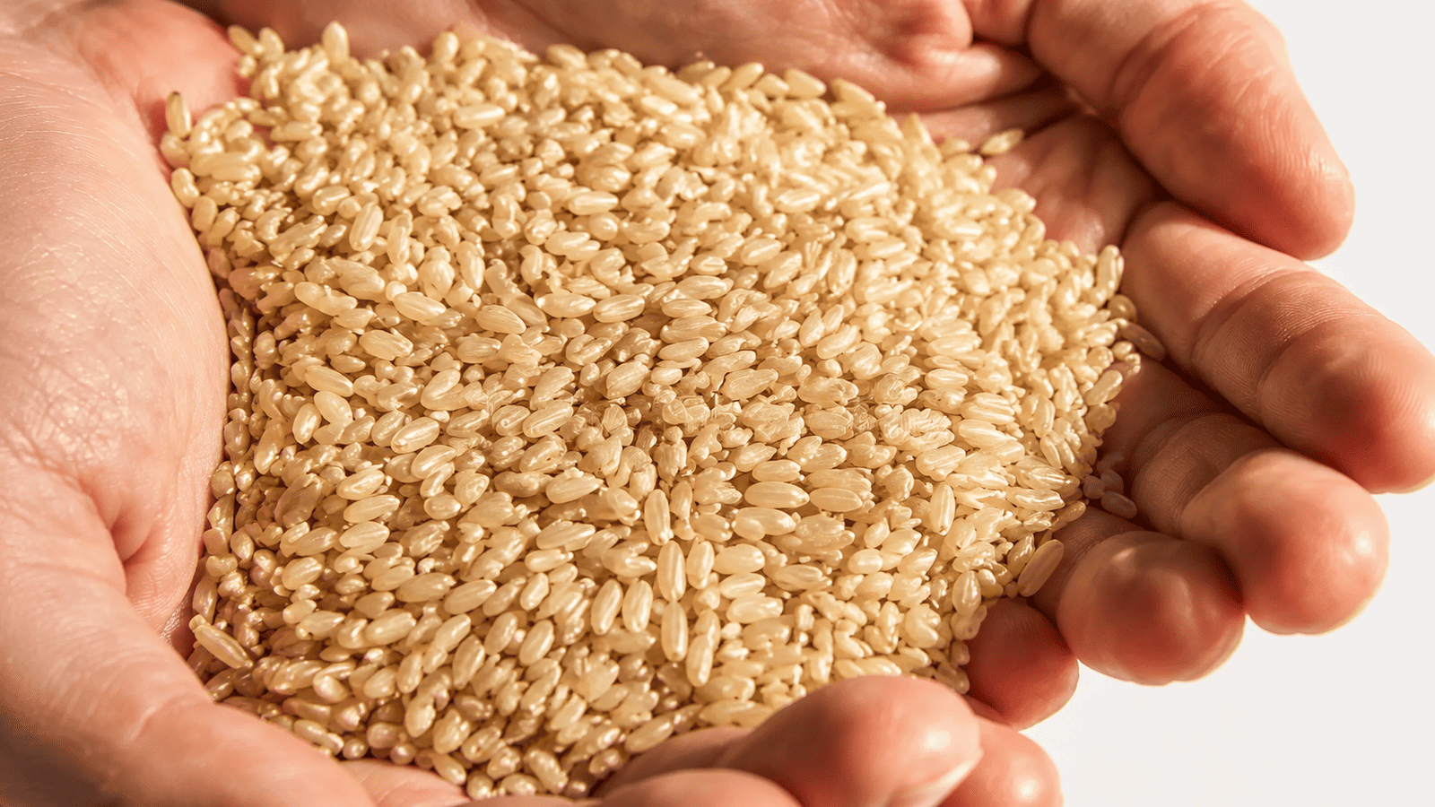 Warehouse staff inspecting bulk organic rice bags before container loading
