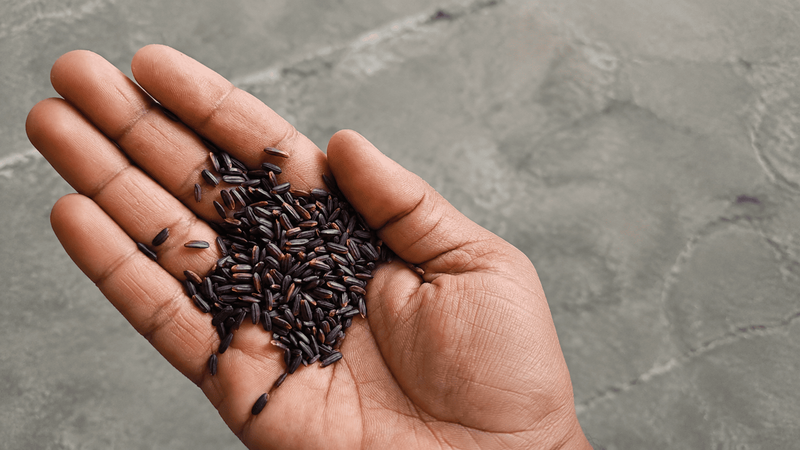 Organic Black Rice