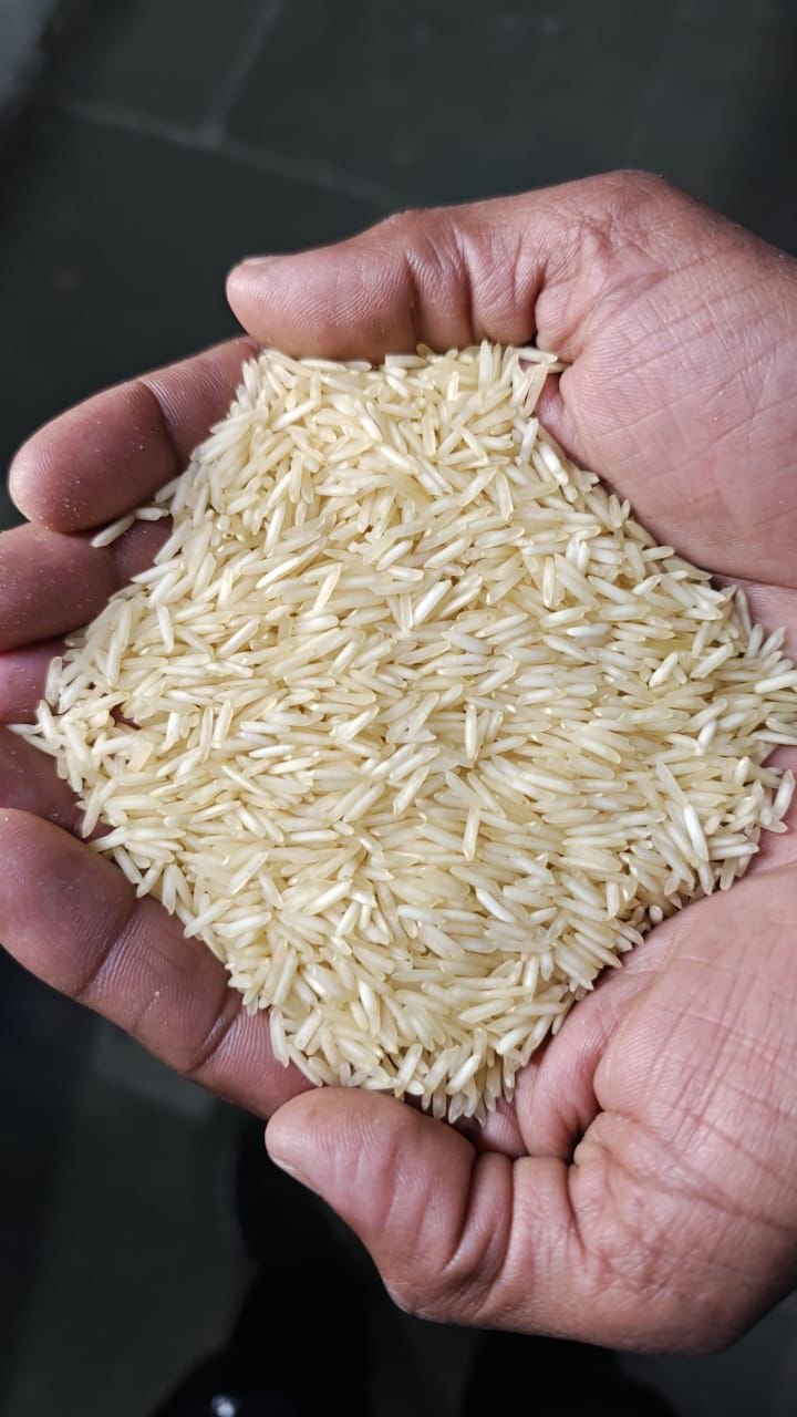 Palletized 50kg and FIBC jumbo bags of organic basmati rice ready for container loading