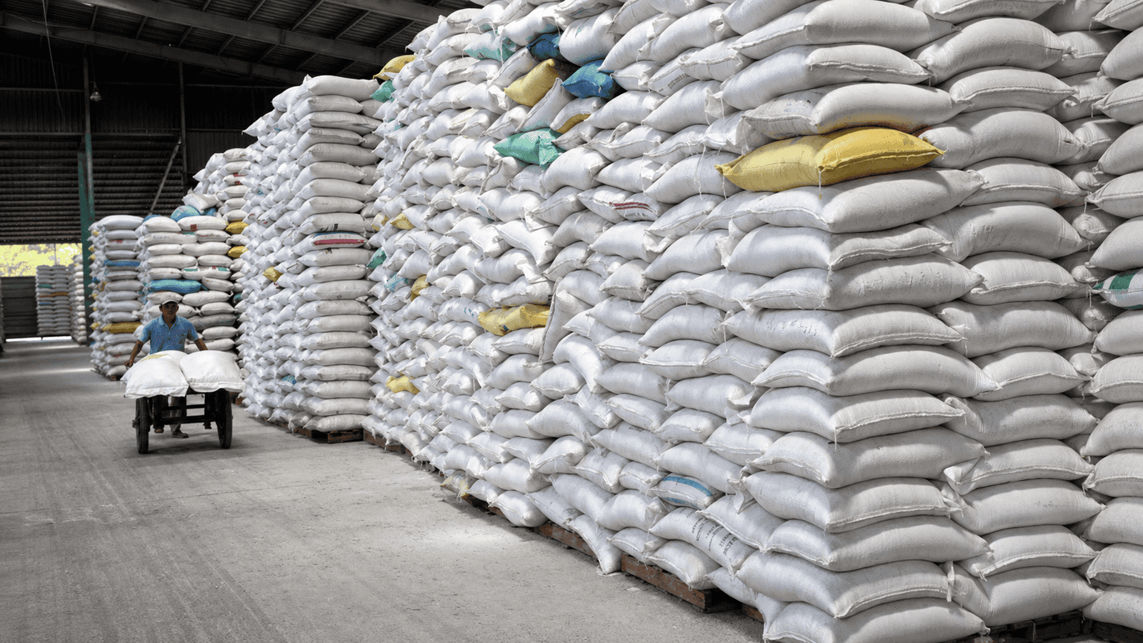 Stacked bulk bags of organic rice ready for export on pallets