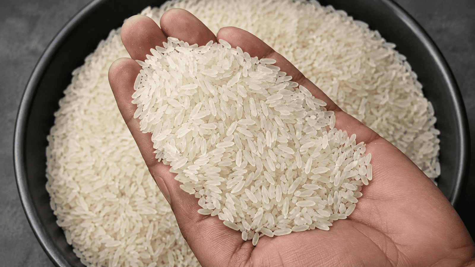 Organic paddy field where bulk rice destined for export is cultivated