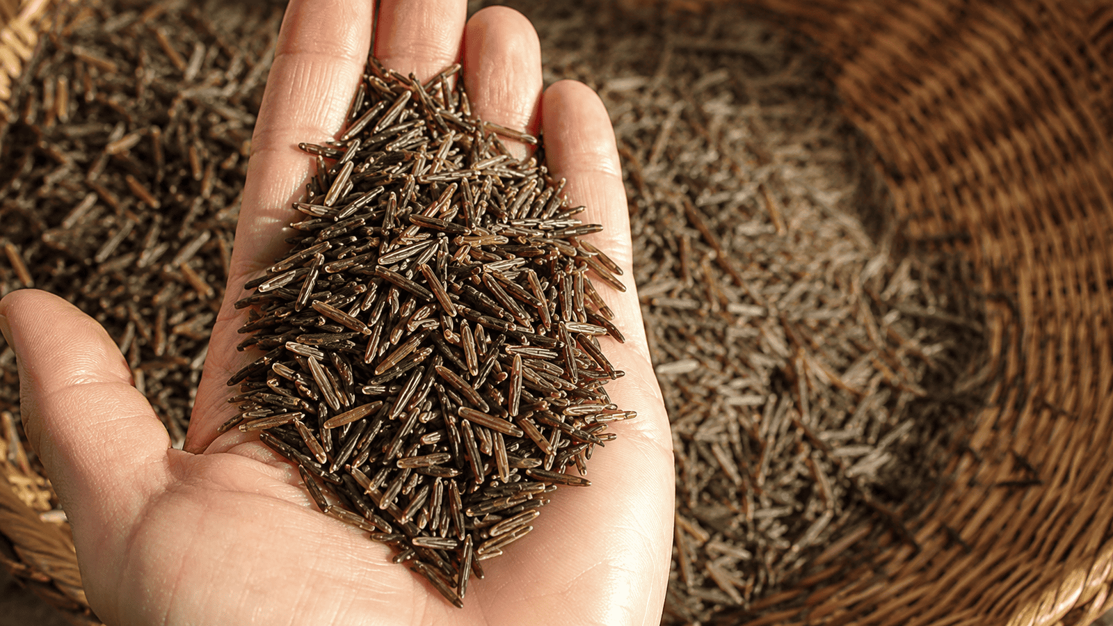 Organic Brown Rice Bulk — premium whole grain long-grain rice for US wholesale buyers